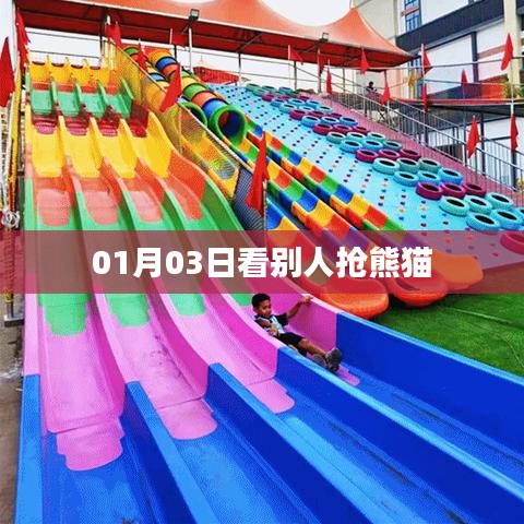 熊貓搶先看，元旦新景象