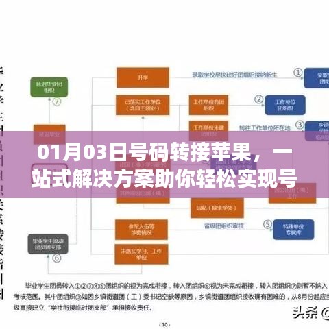 蘋(píng)果號(hào)碼轉(zhuǎn)移一站式解決方案，輕松實(shí)現(xiàn)轉(zhuǎn)接