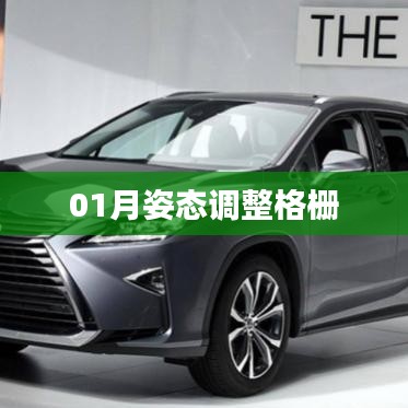 姿態(tài)調(diào)整格柵，一月操作指南