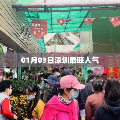 深圳人氣爆棚，最新人氣榜單揭曉