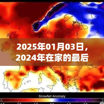 告別2024，回顧在家的最后一天