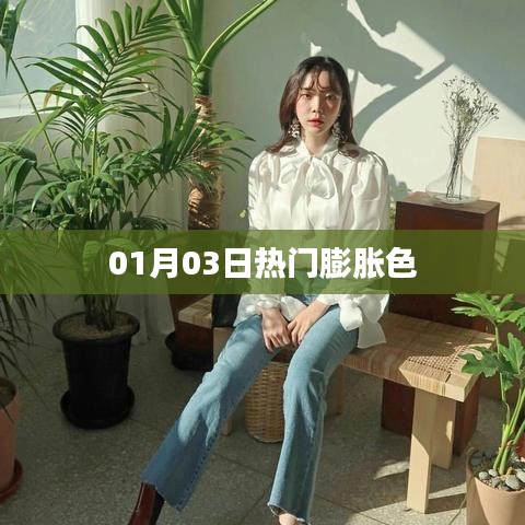熱門膨脹色風(fēng)潮，01月03日新動(dòng)態(tài)