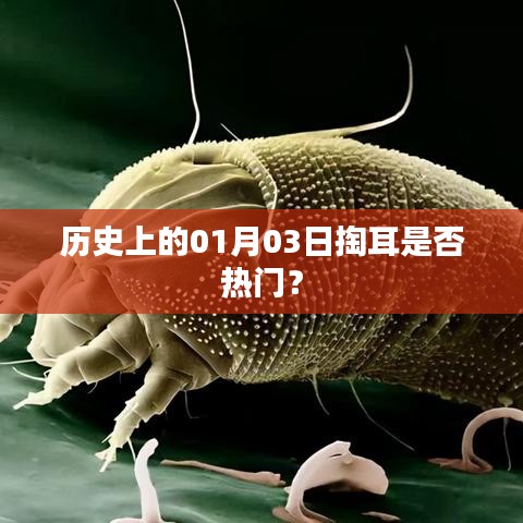 1月3日掏耳歷史熱度揭秘