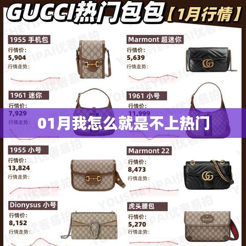 如何提升關注度，一月熱門突破策略