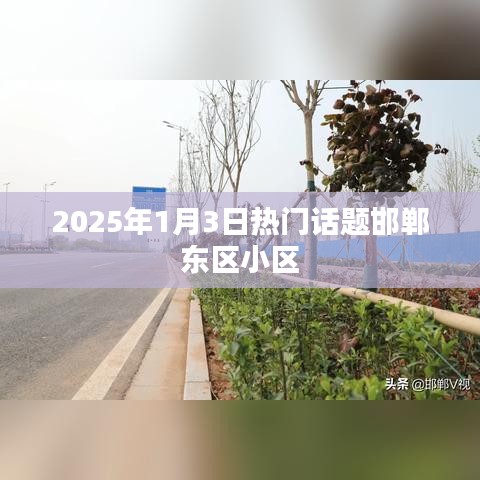 邯鄲東區(qū)小區(qū)，聚焦2025年1月3日熱議話題