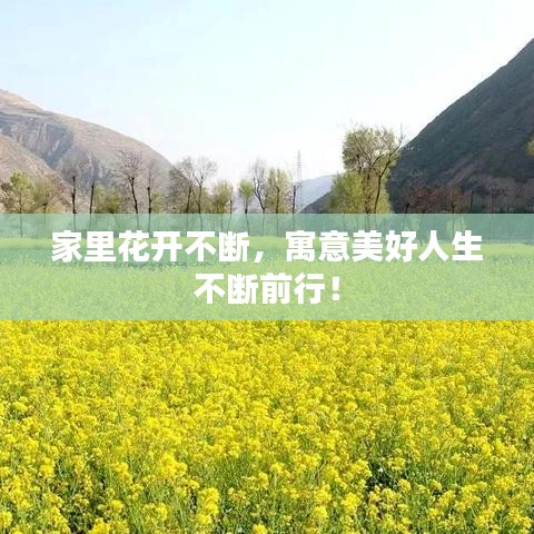 聯(lián)系我們 第315頁