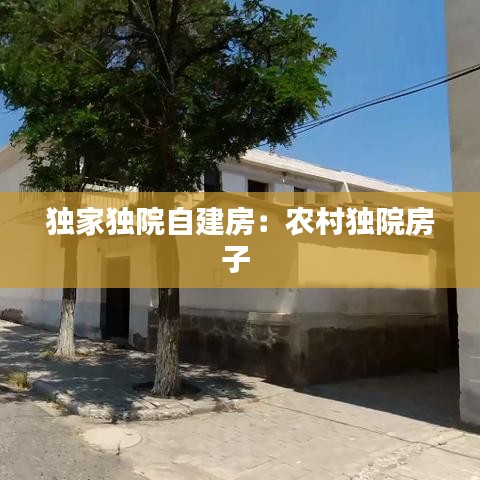 獨(dú)家獨(dú)院自建房：農(nóng)村獨(dú)院房子 