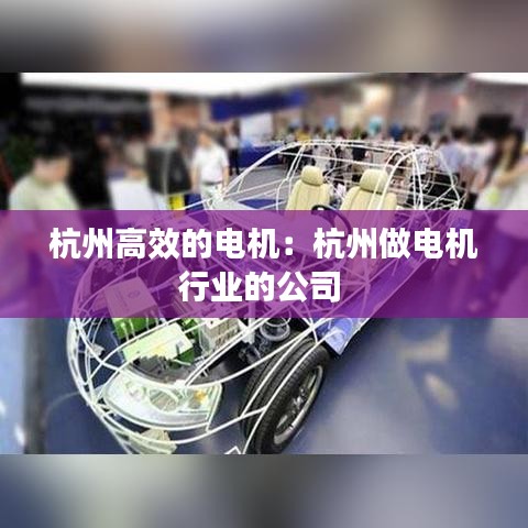 杭州高效的電機：杭州做電機行業(yè)的公司 