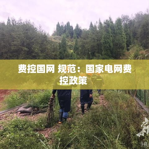 費控國網(wǎng) 規(guī)范：國家電網(wǎng)費控政策 