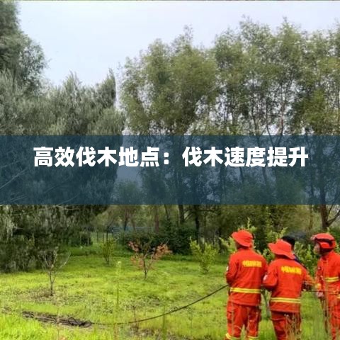 高效伐木地點：伐木速度提升 