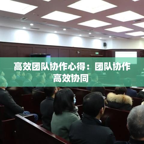 高效團隊協(xié)作心得：團隊協(xié)作高效協(xié)同 