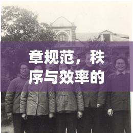 章規(guī)范，秩序與效率的保障基石