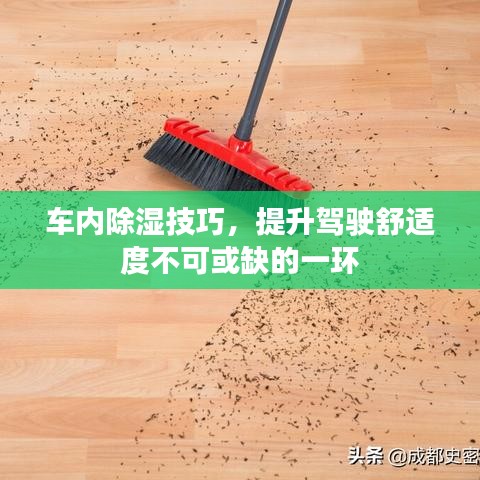 車內除濕技巧,提升駕駛舒適度不可或缺的一環(huán)