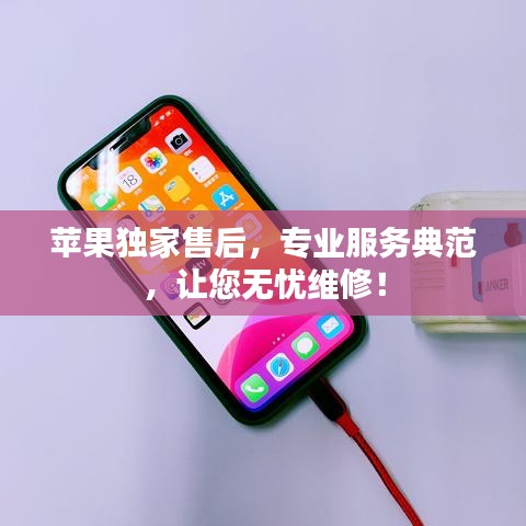 蘋果獨(dú)家售后，專業(yè)服務(wù)典范，讓您無憂維修！