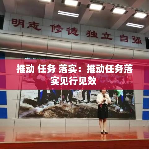推動 任務(wù) 落實：推動任務(wù)落實見行見效 