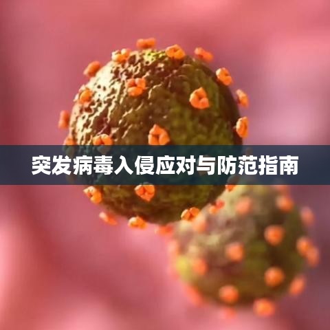 突發(fā)病毒入侵應(yīng)對與防范指南