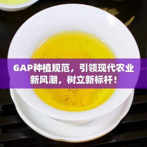 GAP種植規(guī)范，引領(lǐng)現(xiàn)代農(nóng)業(yè)新風(fēng)潮，樹立新標(biāo)桿！