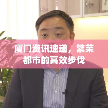 廈門(mén)資訊速遞，繁榮都市的高效步伐