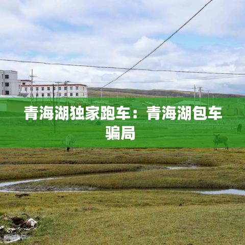 青海湖獨家跑車：青海湖包車騙局 