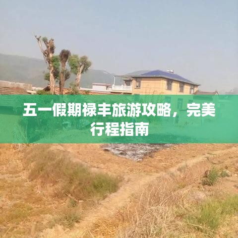 五一假期祿豐旅游攻略，完美行程指南