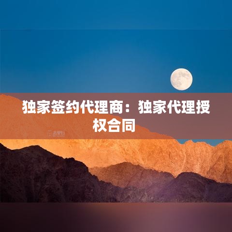 獨家簽約代理商：獨家代理授權合同 