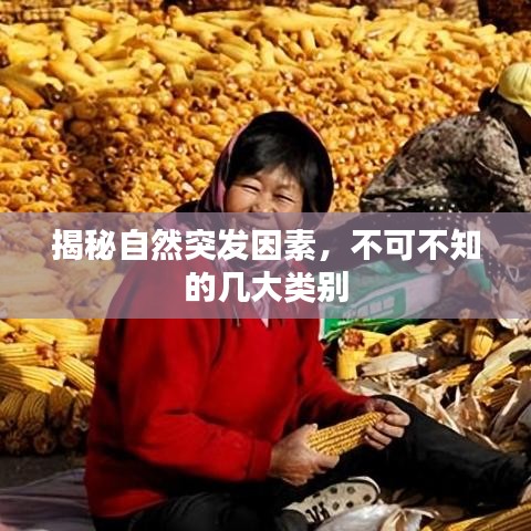 揭秘自然突發(fā)因素，不可不知的幾大類別