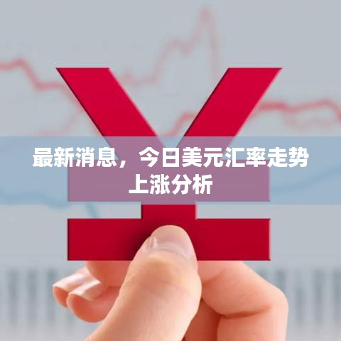 最新消息，今日美元匯率走勢(shì)上漲分析