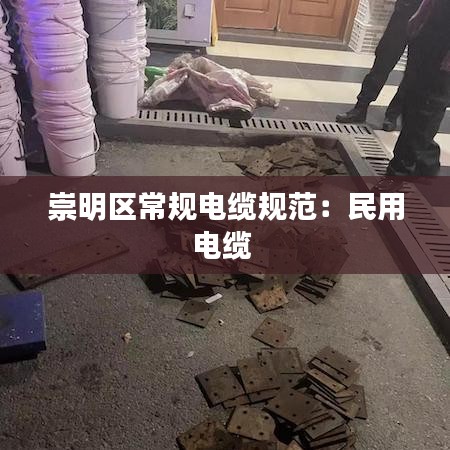 崇明區(qū)常規(guī)電纜規(guī)范：民用電纜 