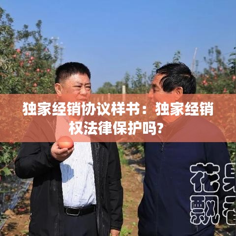 獨家經(jīng)銷協(xié)議樣書：獨家經(jīng)銷權法律保護嗎? 