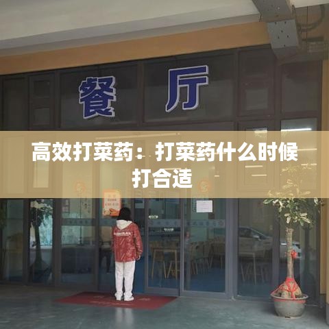 高效打菜藥：打菜藥什么時(shí)候打合適 