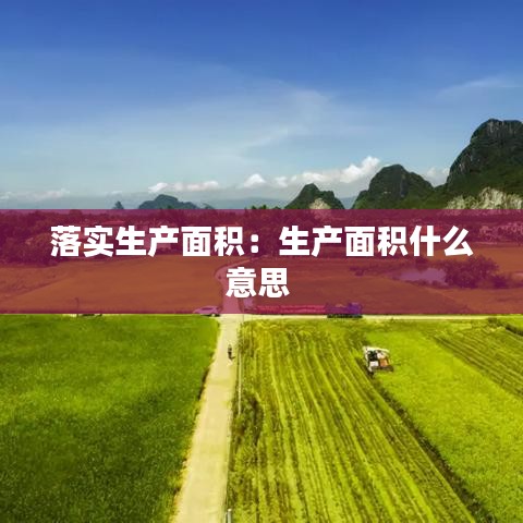 落實(shí)生產(chǎn)面積:生產(chǎn)面積什么意思