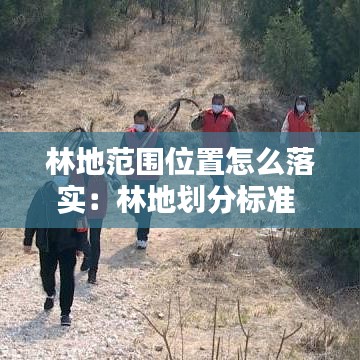 林地范圍位置怎么落實(shí)：林地劃分標(biāo)準(zhǔn) 