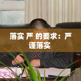 落實 嚴 的要求：嚴謹落實 