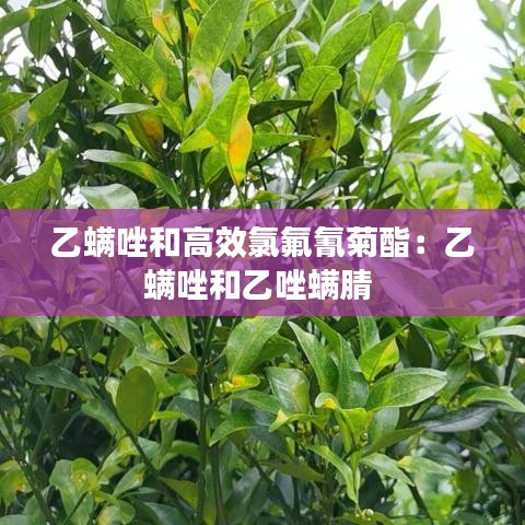 乙螨唑和高效氯氟氰菊酯：乙螨唑和乙唑螨腈 