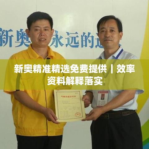新奧精準(zhǔn)精選免費(fèi)提供｜效率資料解釋落實(shí)