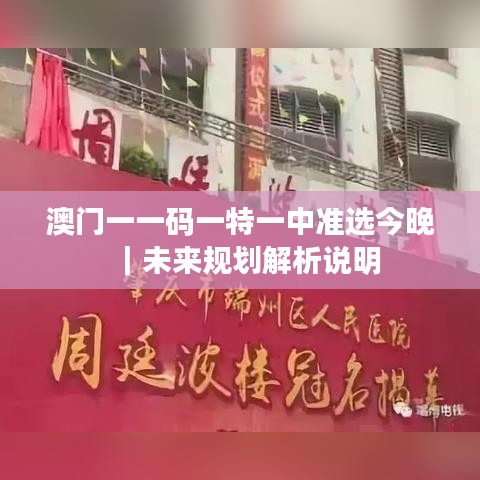 澳門一一碼一特一中準(zhǔn)選今晚｜未來規(guī)劃解析說明