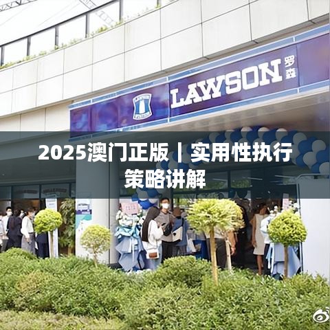 2025澳門正版｜實(shí)用性執(zhí)行策略講解