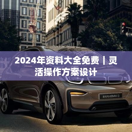 2024年資料大全免費｜靈活操作方案設(shè)計