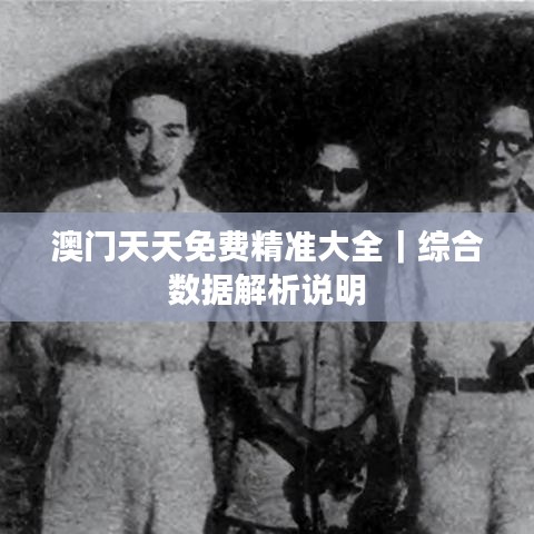 澳門天天免費(fèi)精準(zhǔn)大全｜綜合數(shù)據(jù)解析說明