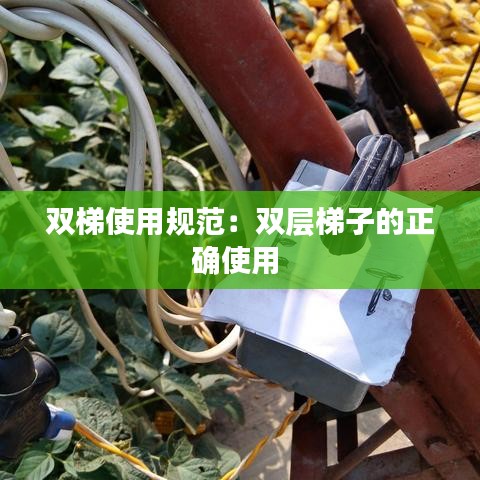 雙梯使用規(guī)范：雙層梯子的正確使用 