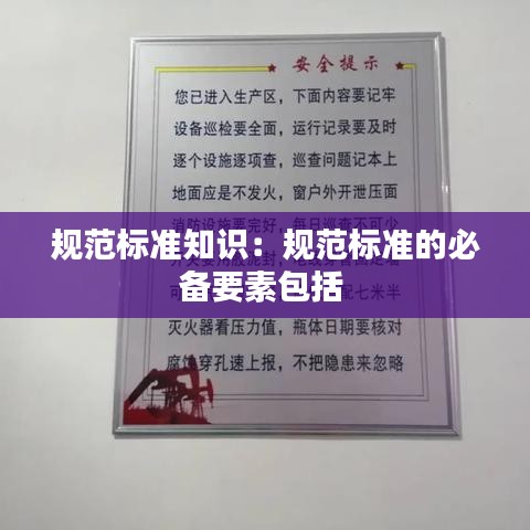 規(guī)范標(biāo)準(zhǔn)知識：規(guī)范標(biāo)準(zhǔn)的必備要素包括 