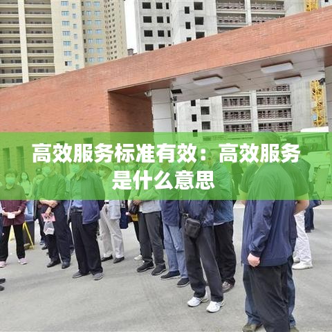 高效服務(wù)標(biāo)準(zhǔn)有效：高效服務(wù)是什么意思 