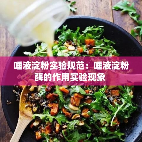 唾液淀粉實(shí)驗(yàn)規(guī)范：唾液淀粉酶的作用實(shí)驗(yàn)現(xiàn)象 