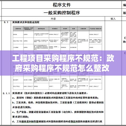 工程項(xiàng)目采購(gòu)程序不規(guī)范：政府采購(gòu)程序不規(guī)范怎么整改 