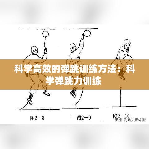 科學高效的彈跳訓練方法：科學彈跳力訓練 