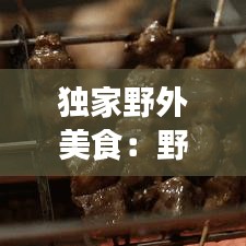 獨(dú)家野外美食：野外美食紀(jì)錄片 