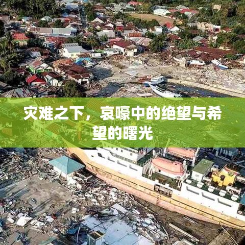 災難之下，哀嚎中的絕望與希望的曙光