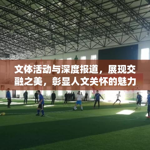 將機(jī)就機(jī) 第4頁