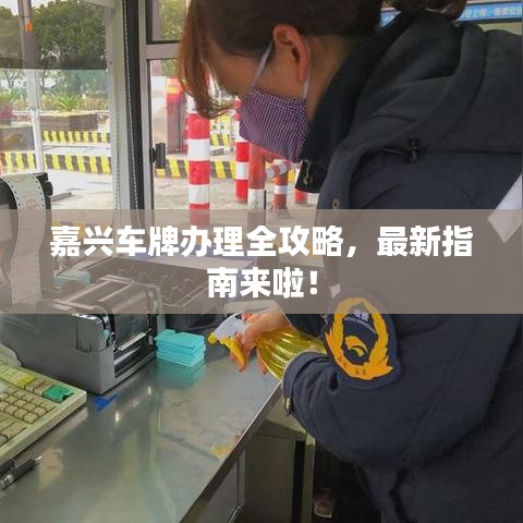 嘉興車牌辦理全攻略，最新指南來啦！