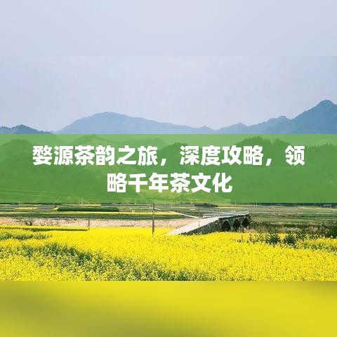 婺源茶韻之旅，深度攻略，領(lǐng)略千年茶文化